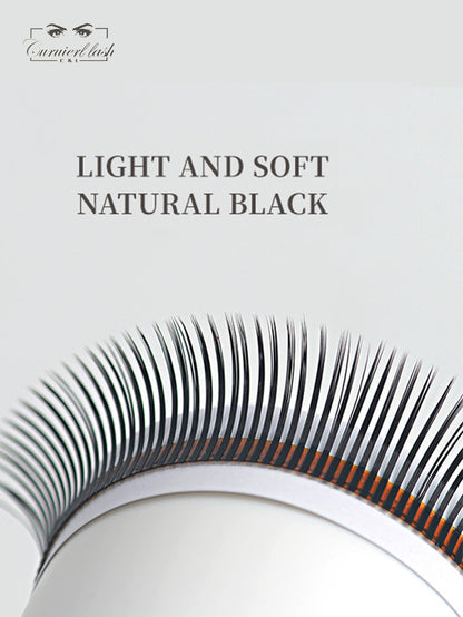 5D FLOWER  LASHES(black）