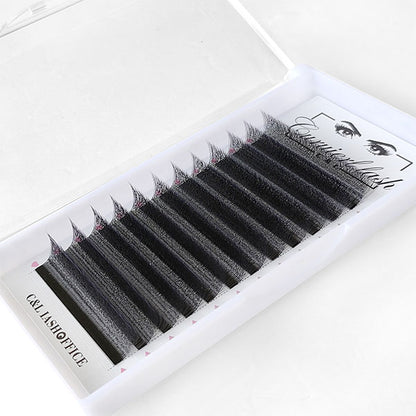 5D W-Shape Lashes Extension Premade Volume Fans