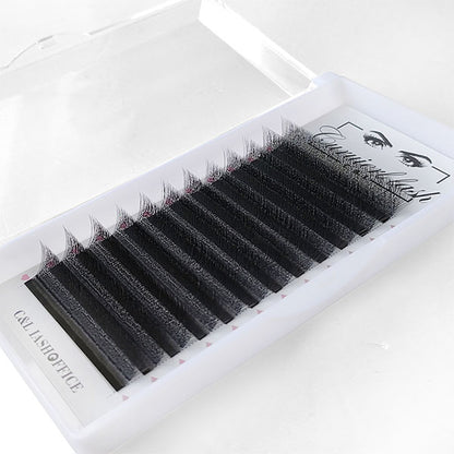 4D W-Shape Lashes Extension Premade Volume Fans